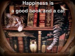 book and cat
