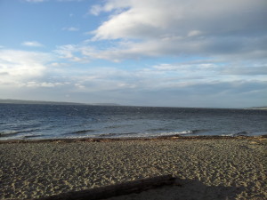 shilshole