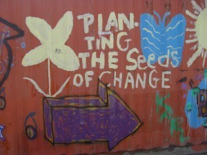 seeds of change graffiti creative commons flickr