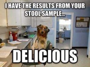 Stool Sample