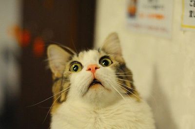  photo l_d788d020-dc56-11e1-91f6-5df598700006_zps5f49361d.jpg