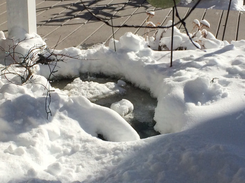 Snow