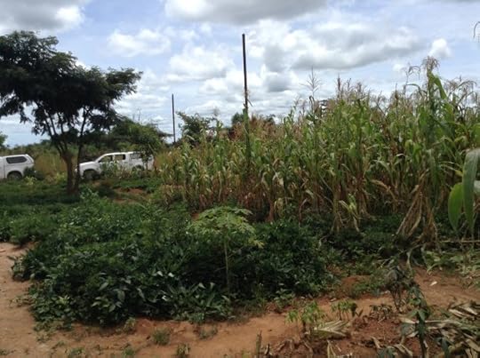 Emanuel House update 0314 (9)