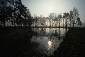 Pond for Human Ash Disposal at Birkenau