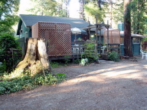 A small house among redwoods