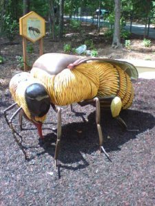 bee