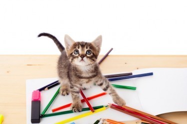 cat painting