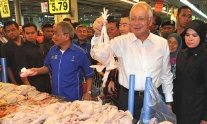 Najib ayam