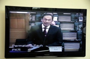 Anwar PAUH