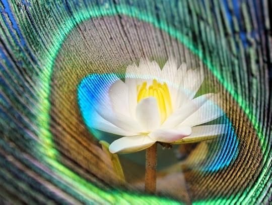 combination different incarnations