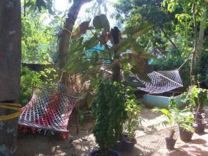 Hammocks at Secret Garden Homestay