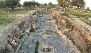 Gadara13