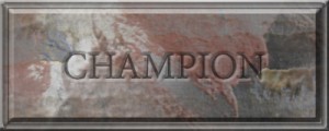 Champion Button