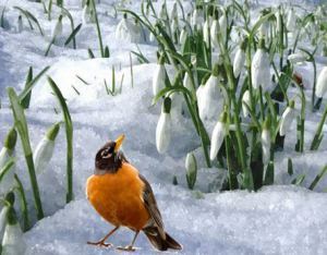 spring
