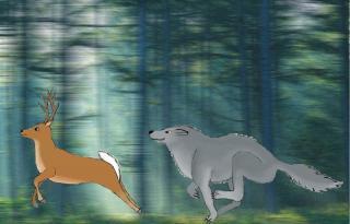  photo image_zps9e2d3eb9.jpg