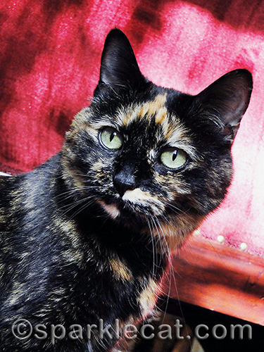 I begrudgingly admit she can be photogenic