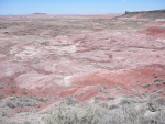 3.31.08 Painted Desert AZ 2