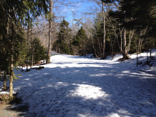 Serpentine Path, Point Pleasant Park
