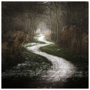path