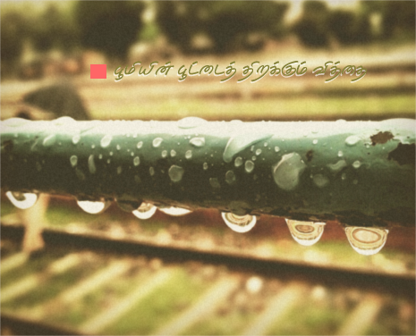 rain-3