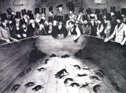 File:RatBaiting2.jpg