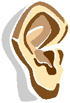 Ear