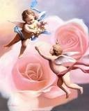 angel baby