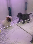 photo 1(5)