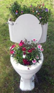 toilet