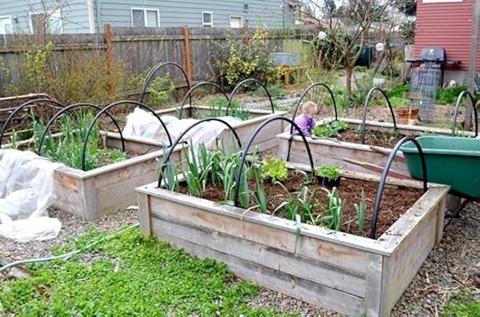spring-soil-helper