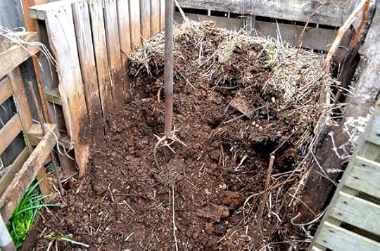 harvesting-compost