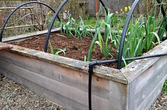 spring-soil-prep