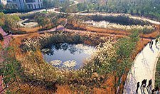 Qiaoyuan Wetland Park in Tianjin, China, has terraced ponds that incorporate designed experiments to monitor benefits.