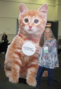 giant kitten