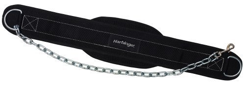 Harbinger dip belt.