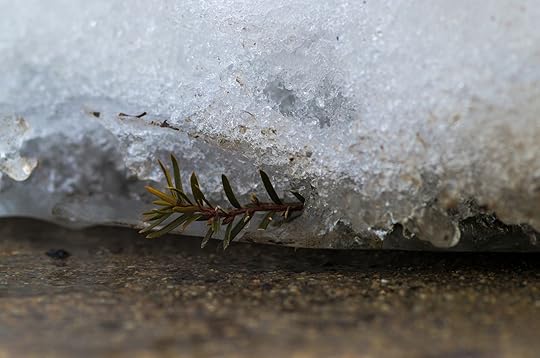The Spring Thaw