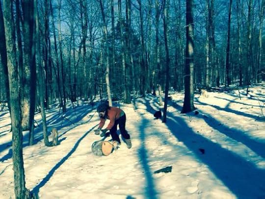 logs