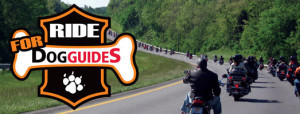 ride for dogs