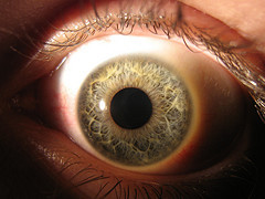 eyeball Forget all meetings except these ones