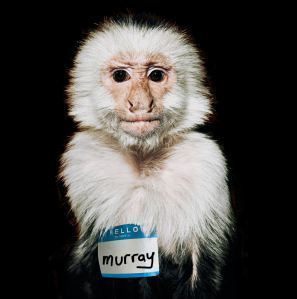 murrayfife_agent