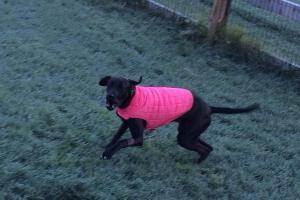 Just look at how crazy she is. 