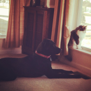 I enjoy SOME quiet time with Sophie, at a safe distance. 