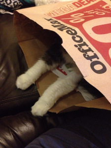 Really, the beast scares me. So, I hide. 