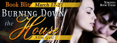 BurningDownTheHouseBlitzBanner