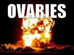 ovaries