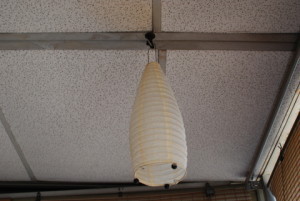 Chinese lantern 