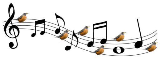 birdsong
