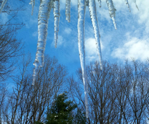 icicles