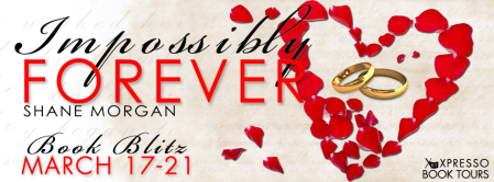 ImpossiblyForeverBlitzBanner