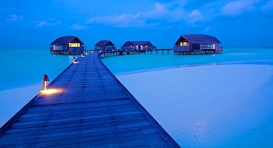 Cocoa Island night